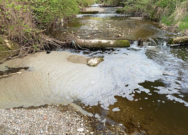 Das verunreinigte Wasser der Enziwigger in Hergiswil bei Willisau.