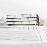 Schulhaus Riethüsli wird gebaut: Das Stadtparlament hat den 50-Millionen-Kredit genehmigt – und Wünsche deponiert