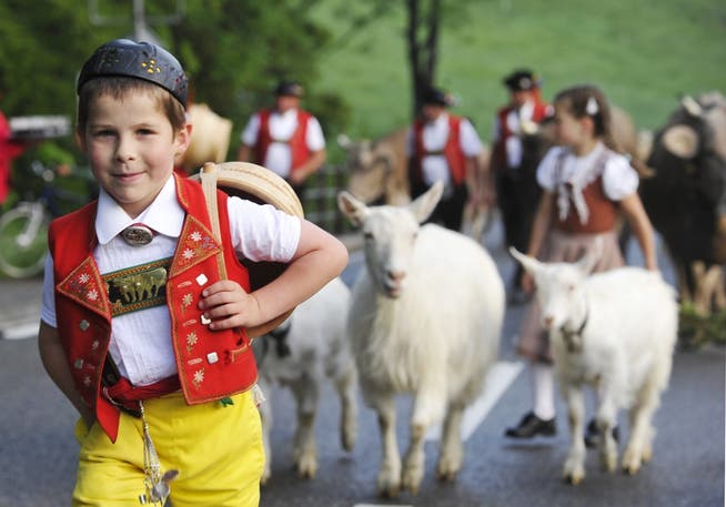 Ab Anfang Mai finden im Appenzellerland die traditionellen Alpauffahrten statt. 