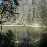 Einst ein Provisorium; heute möchten die Zuger den Steinhauser Waldweiher nicht mehr missen. (Bild: Maria Schmid 3. April 2020)