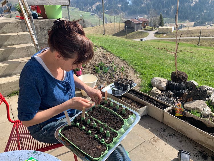 Teebeutel Im Garten Gartengestaltung Idee