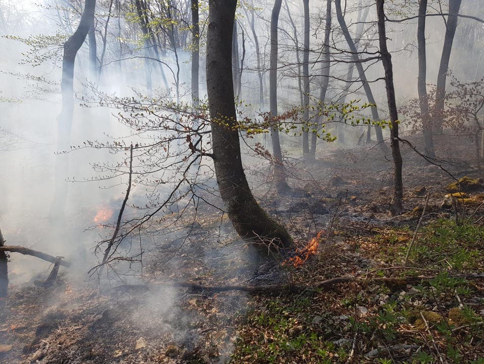 Nenzlingen BL, 11. April: Im Gebiet «Obere Blatten» kommt es zu einem Waldbodenbrand auf einer Fläche von rund 600 Quadratmetern.