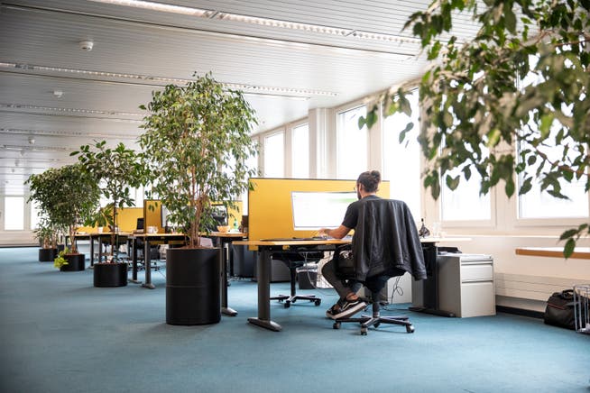 Blick ins Büro des IT-Logistikers Also in Emmen. Künftig wird ein Drittel der Belegschaft alternierend im Homeoffice arbeiten.