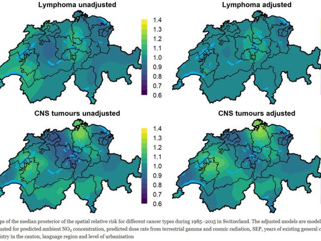 Geografische Verteilung von Lymphom (oben) und Hirntumor (unten) bei Kindern. Die hellgrünen Stellen unten markieren die beiden Risikogebiete Nördliches Zürich und Seeland. (Pressebild)