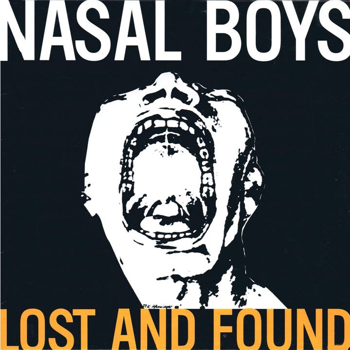 Nasal Boys: Lost And Found (Zürich, 1976 – 78)