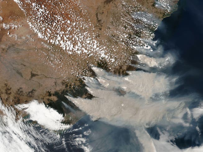 Satellitenaufnahme der verheerenden Buschbrände im australischen Bundesstaat New South Wales. Zügelloses Roden hat laut einer Studie beträchtlich zu den Bränden beigetragen.