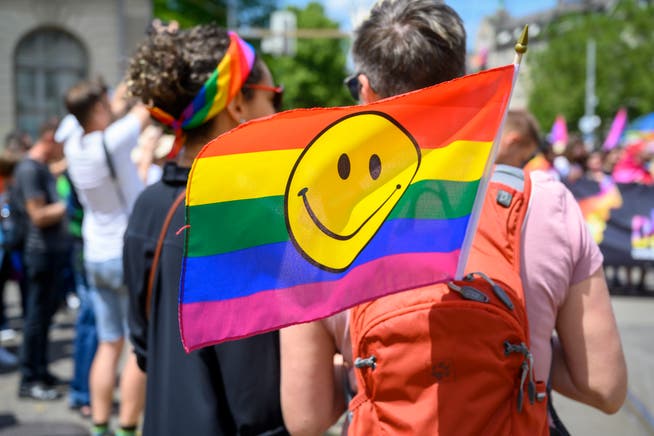 Die Forderung der LGBT-Verbände wurde nun ins Bundeshaus getragen.