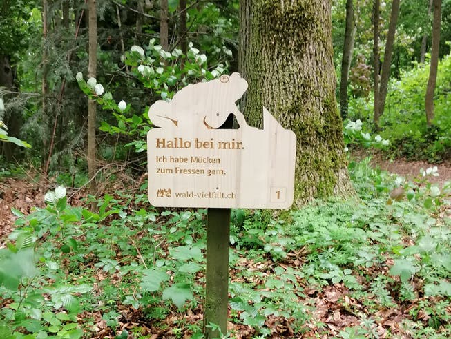 Entlang der Parcours sind gibt es Informationen zu den verschiedenen Waldbewohnern.