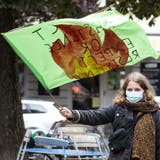 Klimastreik-Aktion in Zürich am 15. Mai 2020: An den Ranfter Klimagesprächen gibt Zoe Stadler Einblicke in die Klimabewegung Zürich. (Alexandra Wey / KEYSTONE)