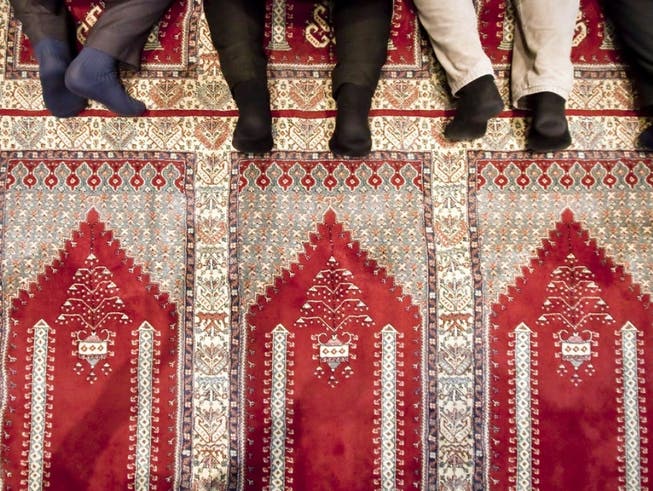 Gläubige beten in der Moschee der Bosnisch-Islamischen Gemeinschaft in St. Gallen. Eine Publikation der Uni Freiburg hat jetzt eine neue Wissenschaftsdisziplin dokumentiert, die das Zusammenleben von Muslimen und Schweizern reflektiert.