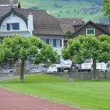 Die Pläne des Kantons, diese zwei Bäume beim Stanser Kollegi-Sportplatz für einen Parkplatz zu opfern, stossen auf Widerstand. (Bild: Matthias Piazza (Stans, 3. Juni 2020))