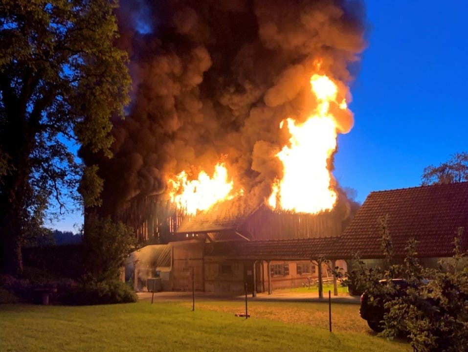 Grüningen ZH, 26. Mai: Die Scheune in Grüningen stand in Flammen. Der Sachschaden ist hoch. Verletzt wurde aber niemand.