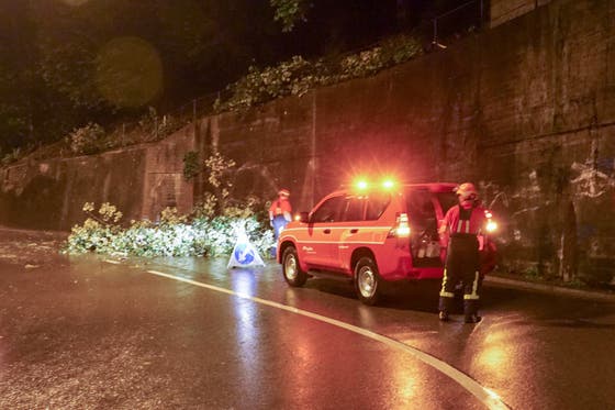 Uber 30 Millimeter Niederschlag Und 3 228 Blitze Unwetter Richtet Schaden In Der Ostschweiz An