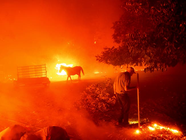 dpatopbilder - Der 84-Jährige Bill Nichols versucht sein Haus vor den Flammen zu retten. In Kalifornien kämpfen mehr als 10 000 Feuerwehrleute gegen zwei Dutzend Grossbrände an. Foto: Noah Berger/AP/dpa