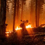 Brände an US-Westküste toben weiter