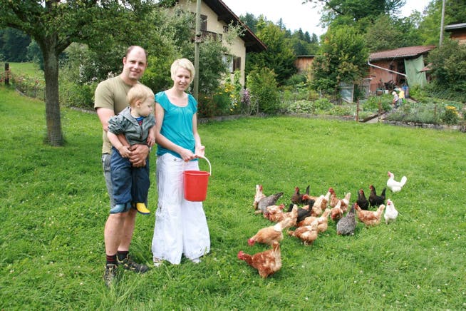 Bald 2000 Hühner auf Hof
