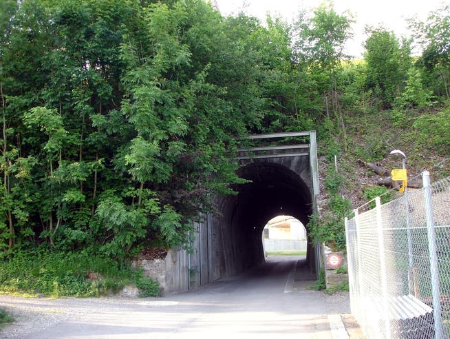 Der Nordzugang des zu sanierenden Seetalbahn-Tunnels in Lenzburg. tf