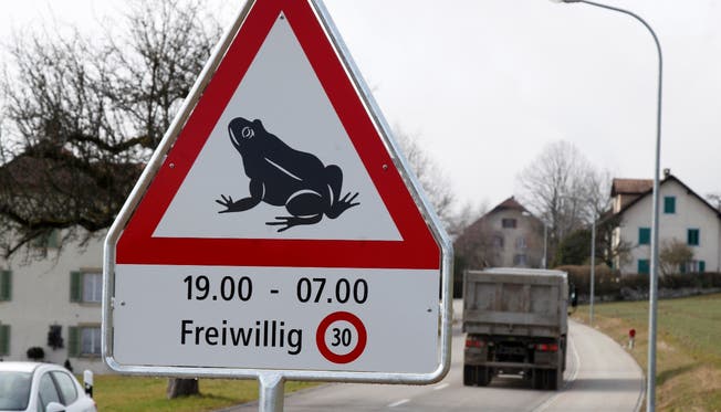 Achtung, Frosch! Diese Schilder stehen neu an der Lommiswilerstrasse in Bellach. Hanspeter Bärtschi