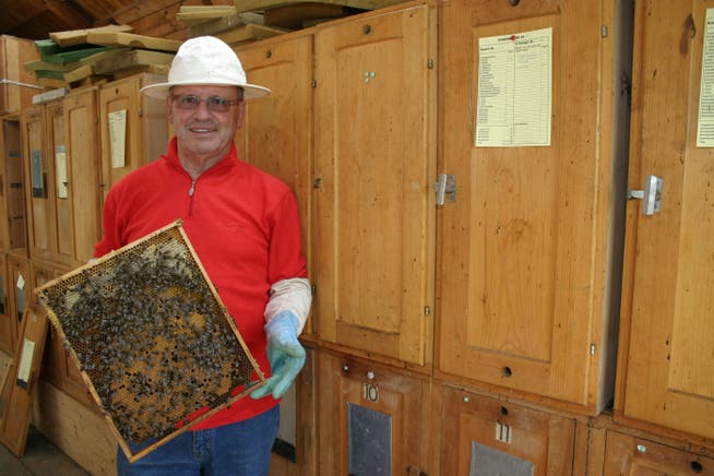 Bienengesundheitsdienst im Mittelpunkt