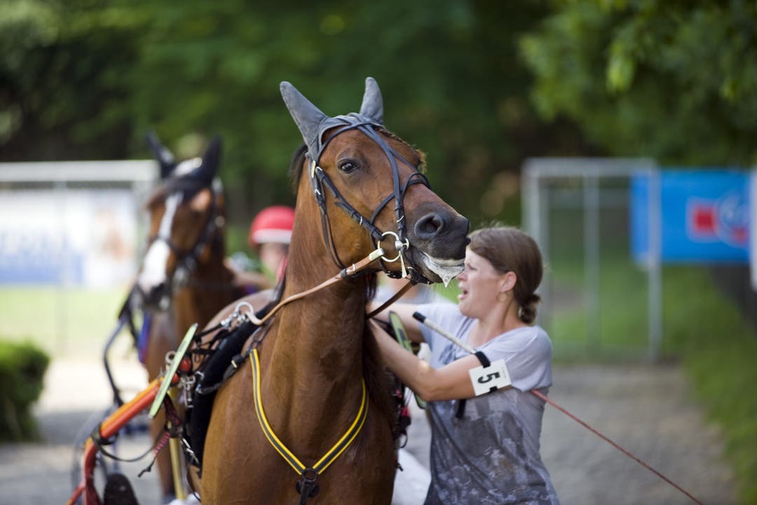 Impressionen vom Pferderennen in Aarau
