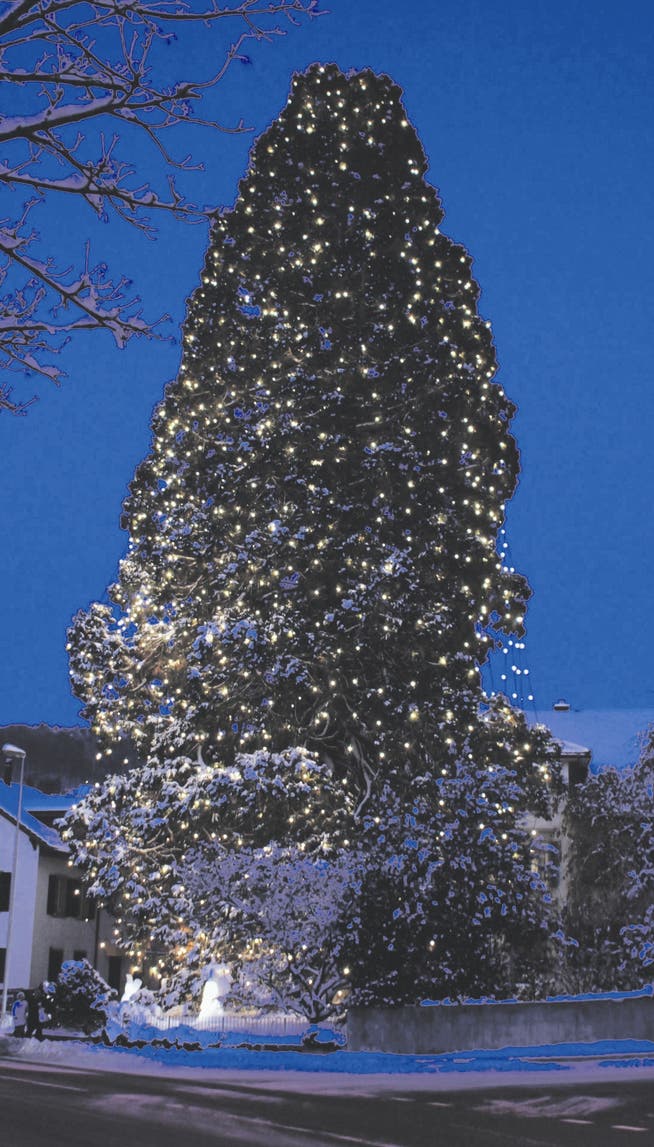 Das ist der schönste Weihnachtsbaum der ganzen Schweiz. ri