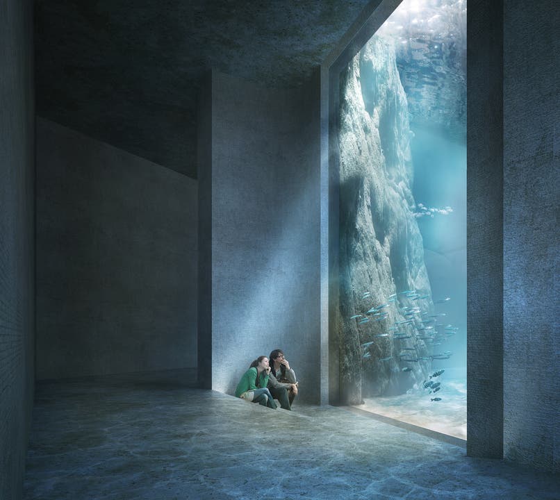 Der Zoo Basel sieht das Ozeanium als perfekte Ergänzung zum bestehenden Vivarium. Offener Ozean Aquarium
