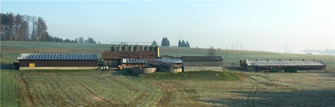 Auf vier Dächern des landwirtschaftlichen Betriebs von Philipp Barmettler sind 1204 Photovoltaik-Module angebracht.Fotos: egu