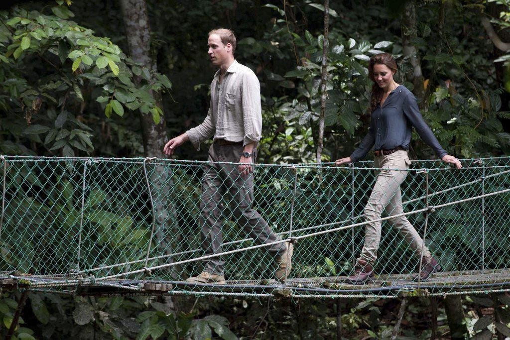 Und hier turnt man sich den Ärger weg: Kate und William im Regenwald von Borneo.