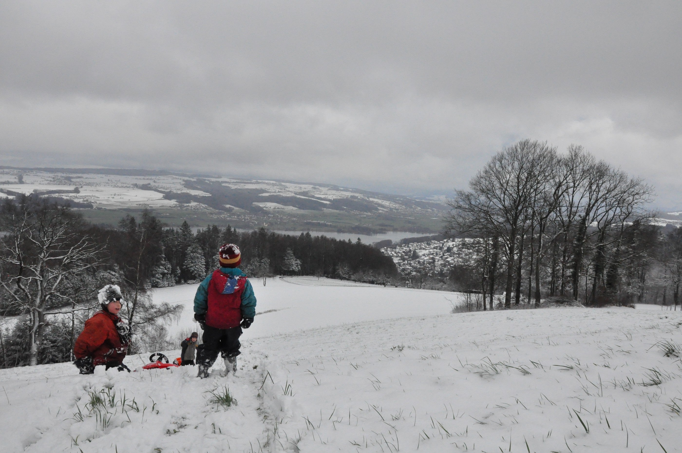 Aargau - Endlich wieder Schlitteln: So schön kann der Winter auf dem Homberg sein