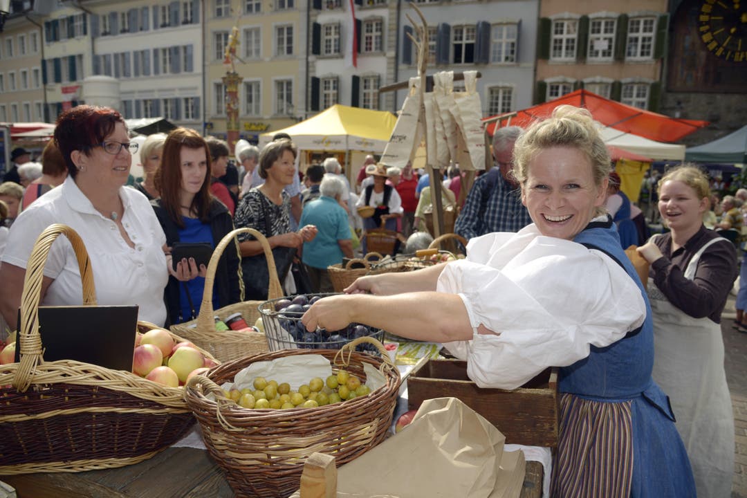 Historischer Markt in Solothurn