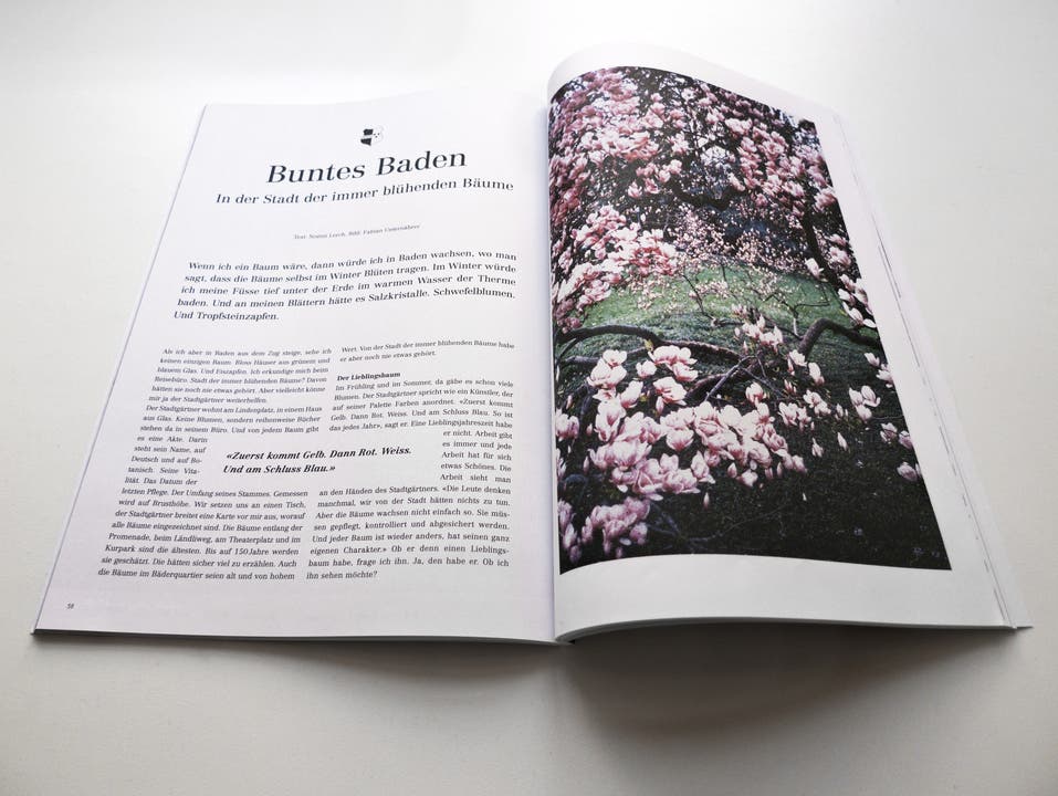 Der Artikel im Reisemagazi Transhelvetica bezeichnet Baden als die «Stadt der immer blühenden Bäume»