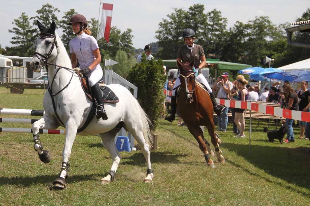 Pferdesport-Event in Subingen