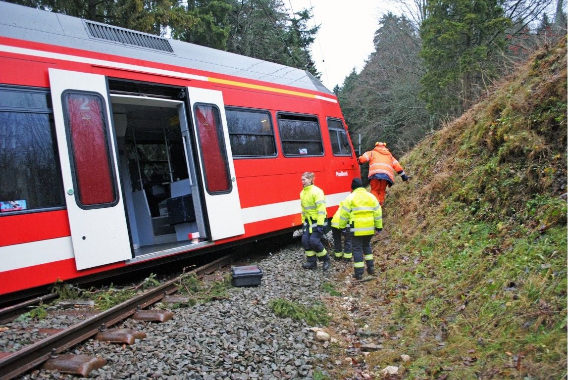 Bildstrecke - Ein Zug Entgleiste In Tramelan, Weil Ein Baum Auf Der ...