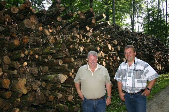 Richard Plüss (links) und Martin Wernli sind überzeugt: Energieholz ist zu schade, um bloss «verheizt» zu werden.