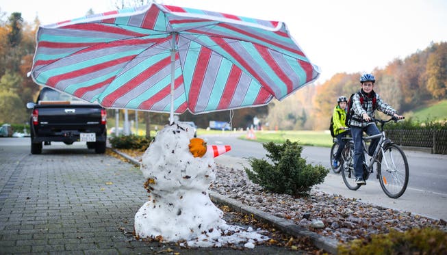 Last (snow) man standing in Ammerswil.