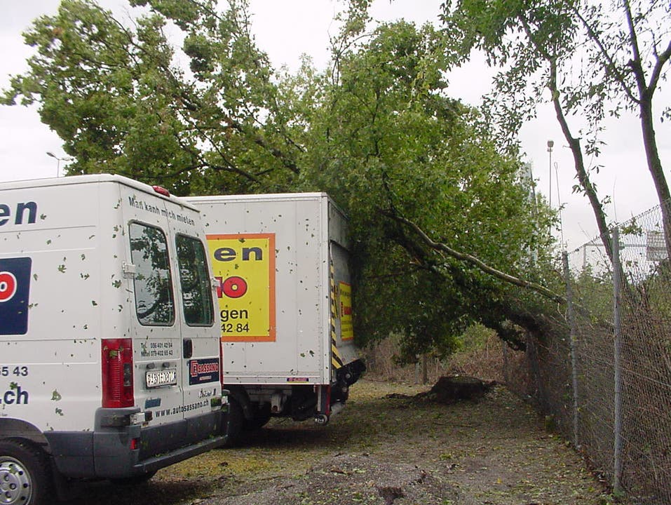 Baum fiel auf einen Mietwagen der Autosassano AG