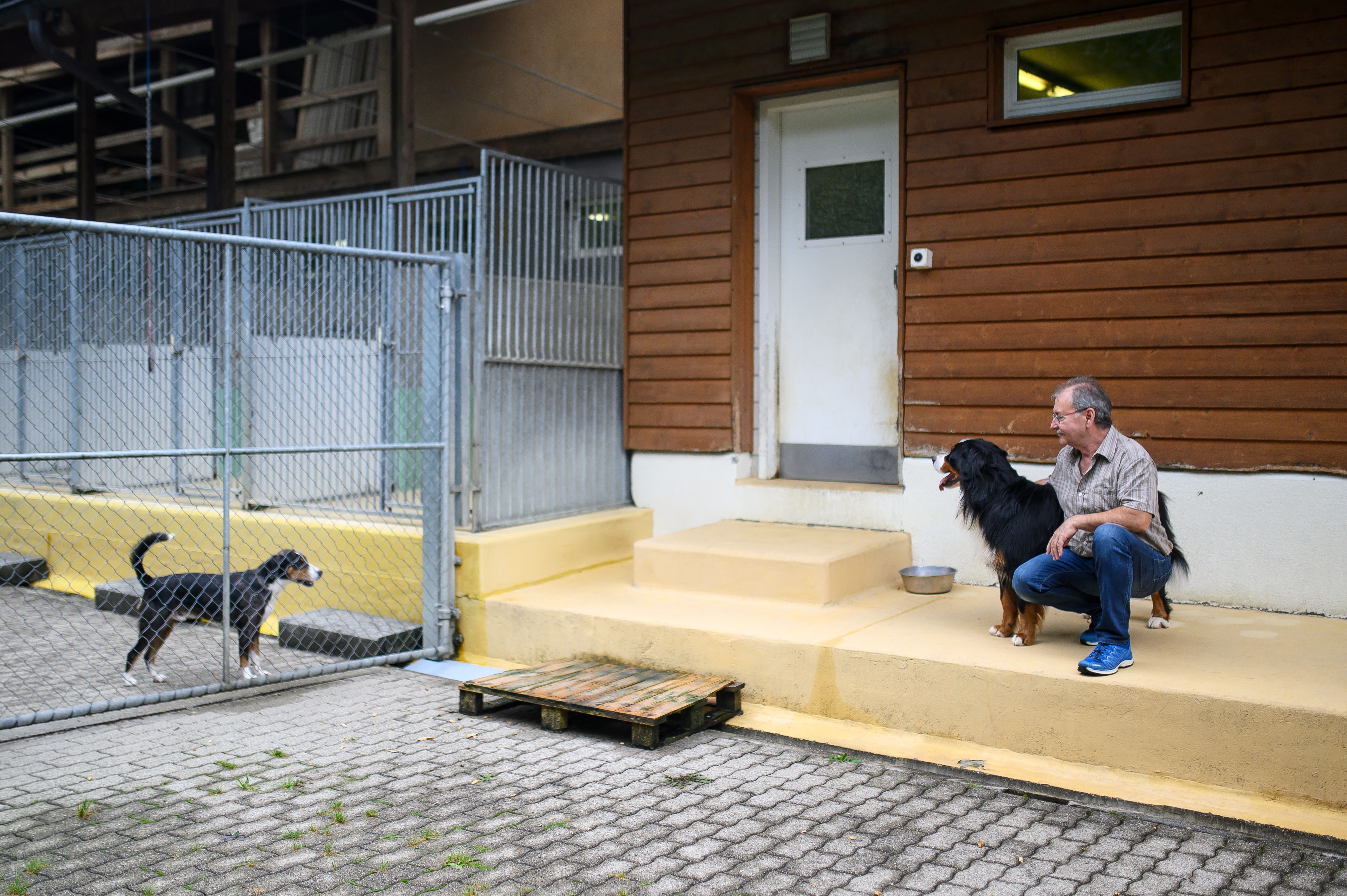 42 Jahre Fuhrte Heinz Staub Das Tierheim Sitterhofli In Engelburg Jetzt Geht Er In Pension Ein Letzter Rundgang Vor Dem Verkauf