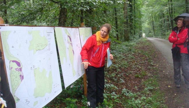 Stefanie Burger, Abteilung Wald, informierte über die vorgenommene Kartierung der Eichenbestände im Junkholz. zvg