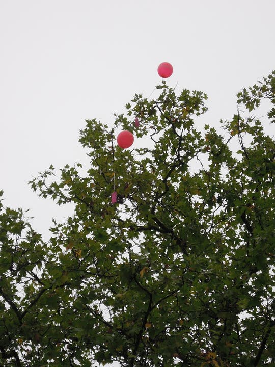 Diese beiden Ballone werden den Weitflugwettbewerb kaum gewinnen