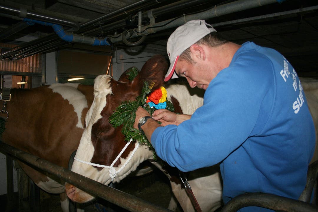  Eine „Chnübliarbeit“ sei das Schmücken der Kühe, sagt Hofnachfolger Dieter Walser