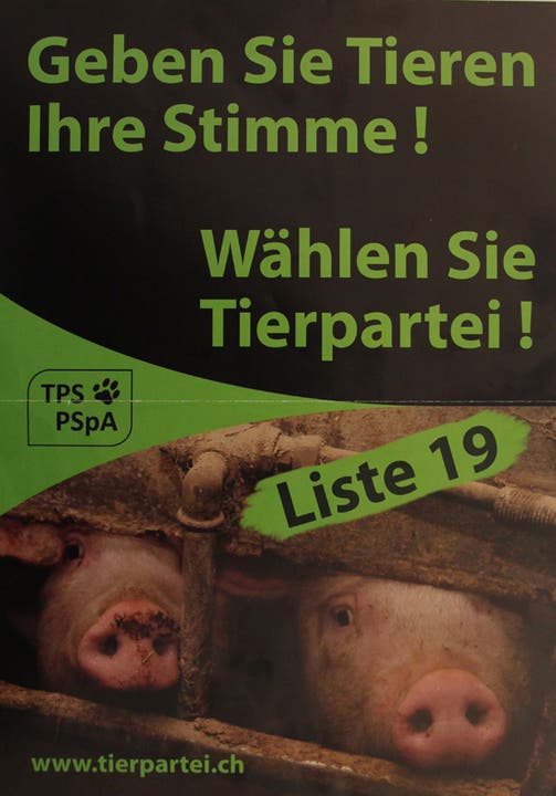 Tierpartei mit eingesperrten Schweinen
