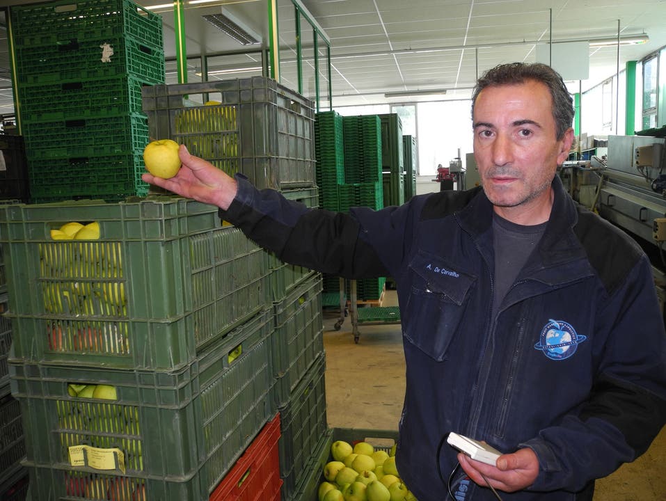 Americo de Carvalho prüft die Kerntemperatur eines Apfels