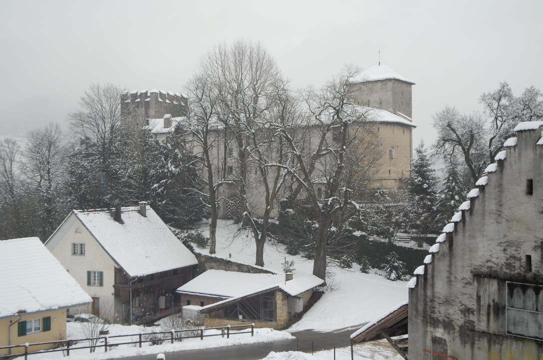 Schloss Wildenstein Im Winter.