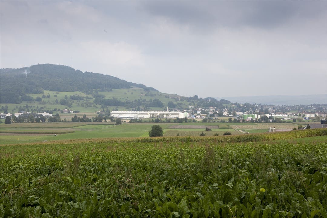 Industriegebiet Moos zwischen Reinach und Leimbach