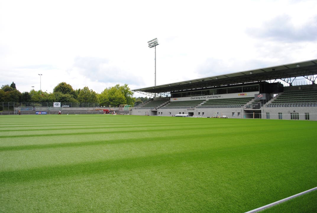 Künstliches Grün im Stadion Esp