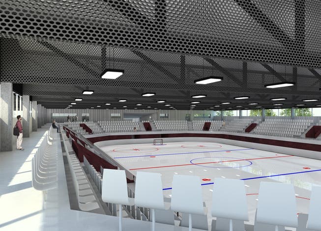 Die geplante Tägi-Eishalle (Visualisierung)