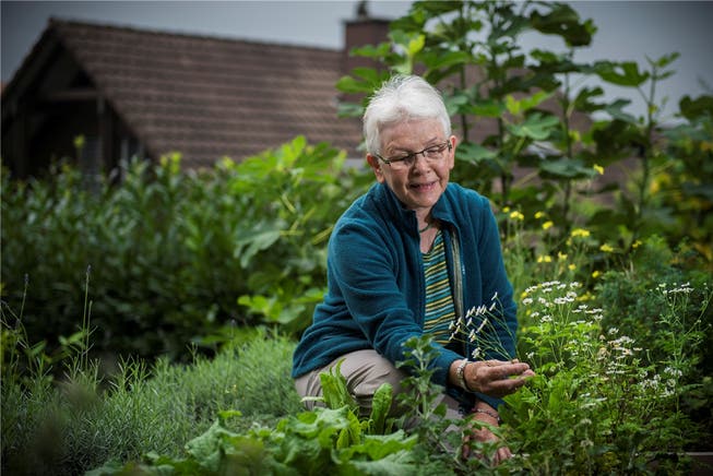 Im eigenen Kräutergarten: Emmi Erni ist seit 1999 Leiterin des Hildegard-Kreises Reusstal.
