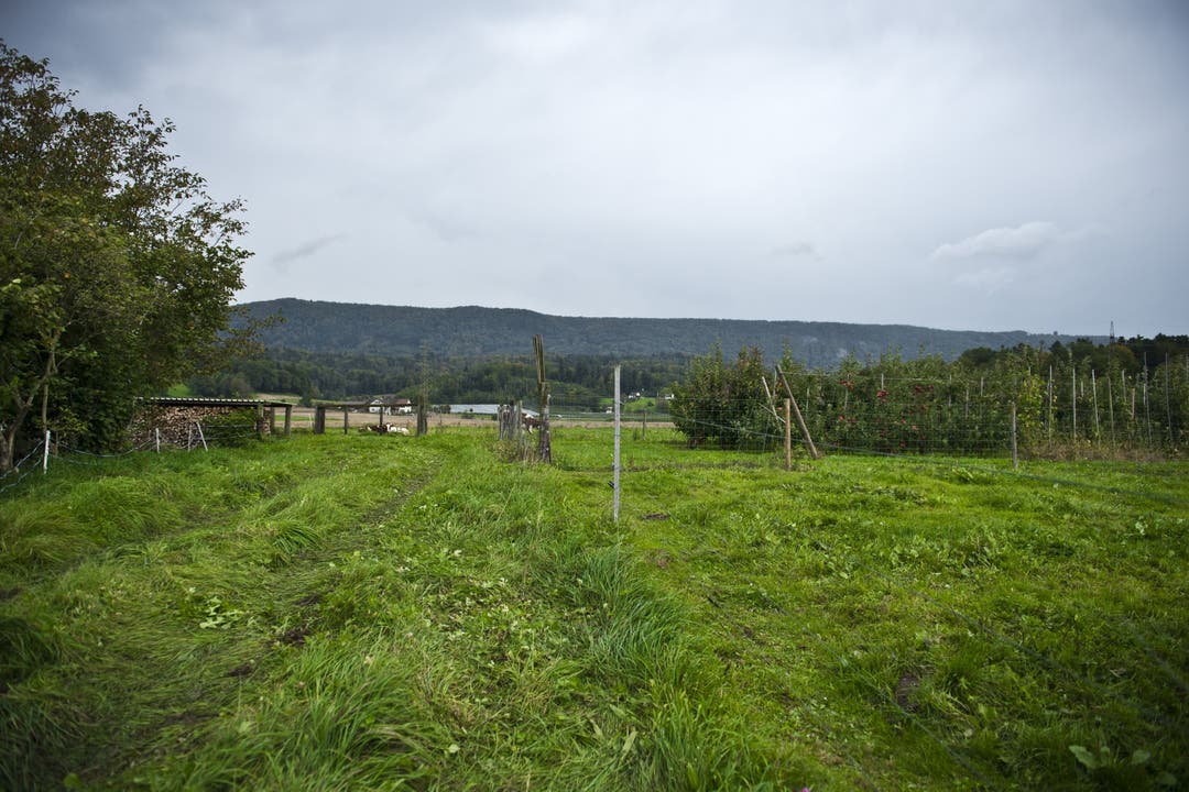 Landwirtschaftland Blick in Richtung Lägern