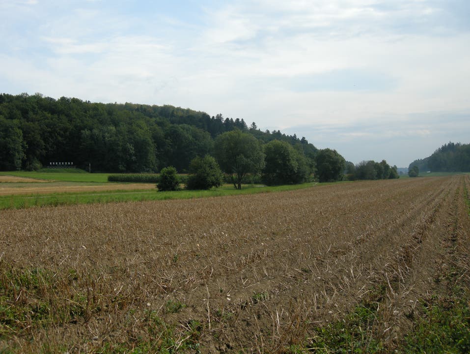  Der Biberenbach zwischen Bibern und Ichertswil.