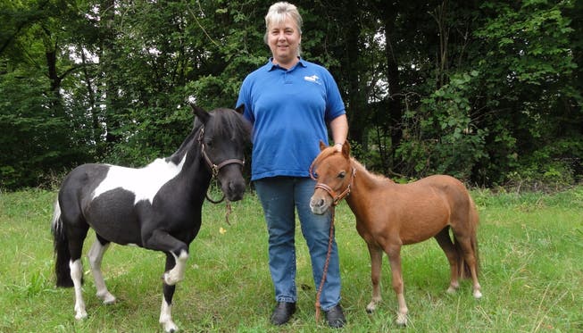 Turnierorganisatorin Monika Kuhn mit ihren zweijährigen American Miniature Horses MK Bolero’s Lucky Charm und PRS Heart of Hope. Ruth Müller